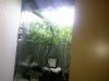 catch_media_20150327-093945.jpeg