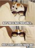 stylish-cat-is-stylish_o_576959.jpg