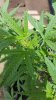 20150407_124451.jpg