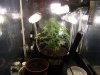 grow journal 181.jpg