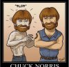 chuck-norris-and-zombie_fb_164034.jpg