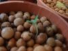 DSC01856.JPG