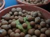 DSC01854.JPG