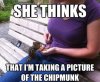 Chipmunk+helps+with+ulterior+motives+chipmunk+helps+with+ulterior+motives_5b6b0c_4009743.jpg