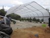 greenhouse update 5-14-2015 117.JPG