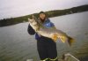 lake trout.jpg