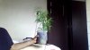 Snapshot_20150517_102418.jpg