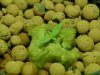 DSC00498.jpg