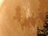DSCF0735.JPG