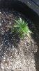 20150527_104039.jpg