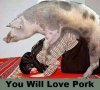 love pork.jpg