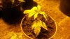 20150608_212127.jpg