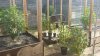 20150531_091408.jpg