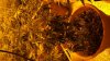 100_3373.jpg