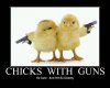 Funny gun sign 18.jpg