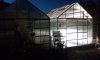 greenhouse4.jpg