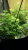 20150709_114215.jpg