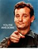 bill-murray-youre-awesome.jpg