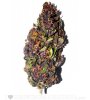 Purple_20Haze_20_28fem_29-2.jpg