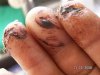 Fingers 001.jpg
