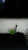 20150718_131222.jpeg