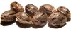 RIU-72-FrotanX JTR seeds.jpg