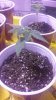 20150514_211957.jpg