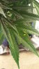 20150731_155445.jpg