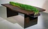 natural-table-as-indoor-planters-home-535x331.jpg