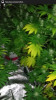 Screenshot_2015-09-06-23-06-20.png