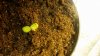 20150918_180314.jpg