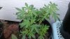 20150925_173915.jpg