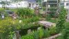 20150822_180117.jpg