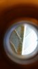 20151001_004629.jpg