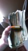 IMAG0055.jpg