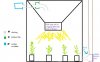 soil grow.jpg