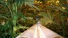100_3524.jpg