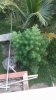 20151015_173411.jpg