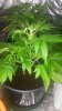 20151015_234501.jpg