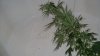 100_3530.jpg