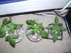 100_5964.jpg