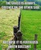 grass is greener.jpg