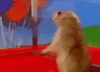 dramaticchipmunk-100036889-orig.gif