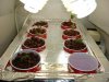 DSC00328.jpg