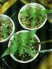 Day 18 - Top View.jpg