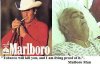 smoking-death-of-marlborough-man.jpg