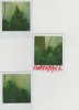 poloroids of plants indoor 04 05 001.jpg