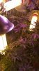 20151122_093259.jpg