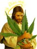 22115cannabisjesus.jpg