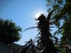 dav's pics 342.JPG